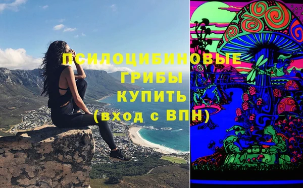 соль ск Горнозаводск