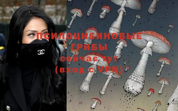 каннабис Горно-Алтайск