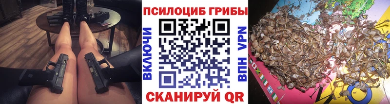 Купить закладки Новоалександровск Псилоцибиновые грибы MAGIC MUSHROOMS
